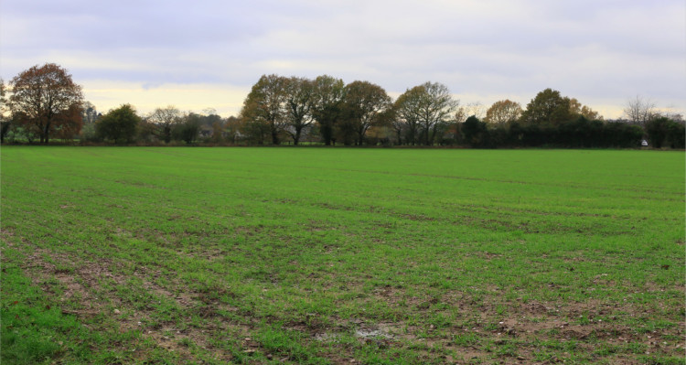 The new homes would be built on farmland off Old Croft Road (image via planning application)