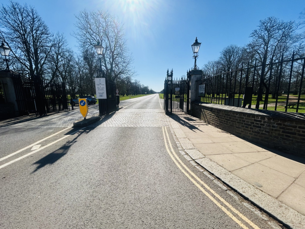 London Fire Brigade attends dead tree trunk fire in Bushy Park