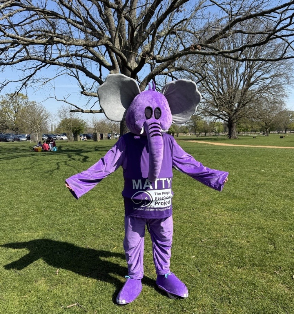 Student to run London Marathon for local charity in giant elephant costume