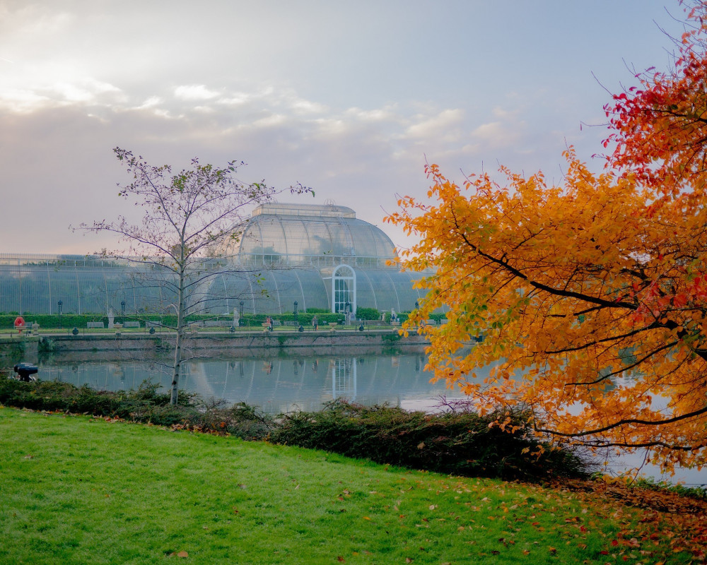 Five fantastic jobs available near Teddington: Kew Gardens, The Lion, and more