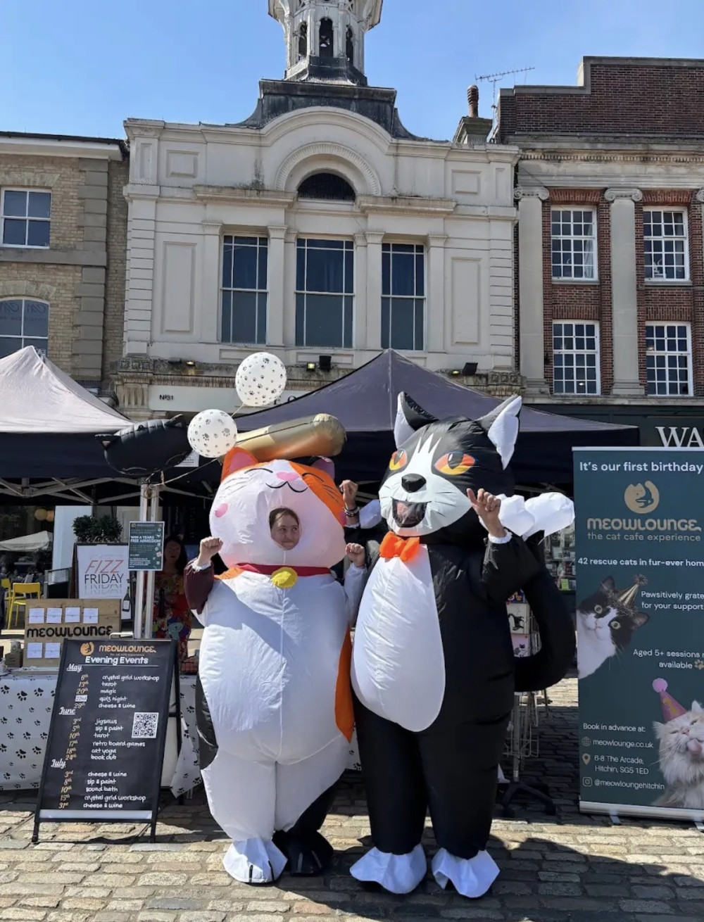 Hertfordshire's first cat café celebrates its one-year anniversary