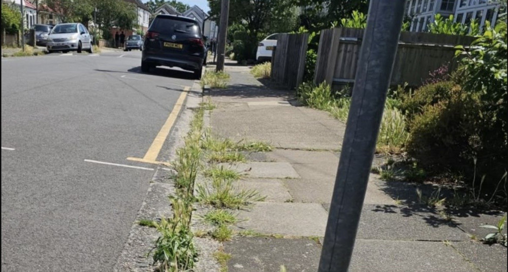 Residents oppose Kingston Council’s annual weed spray programme