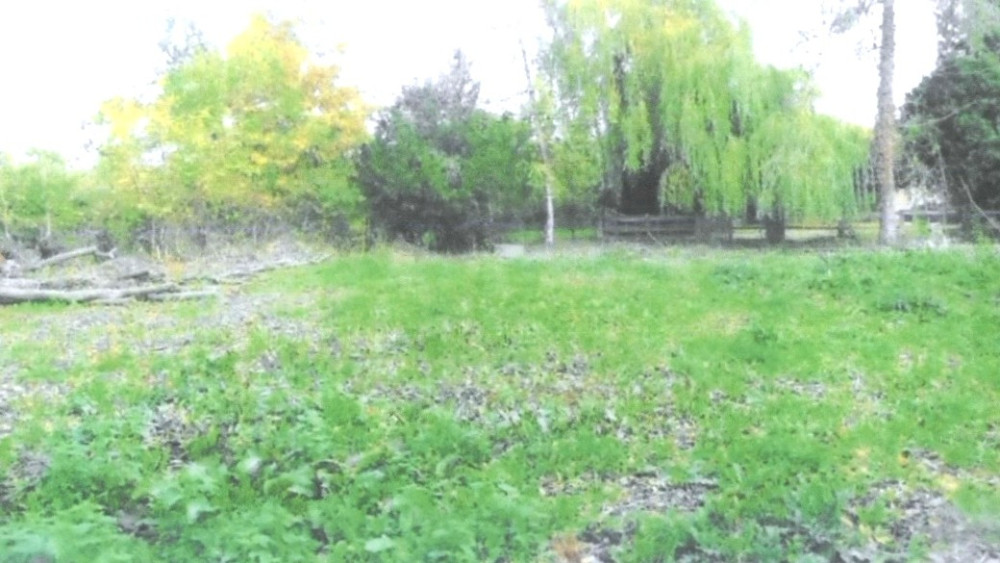 Backing for controversial village home despite residents' objections