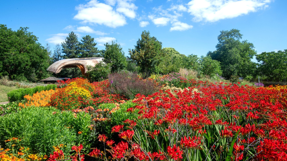 Kew Gardens' Carbon Garden celebrates 'remarkable' first year