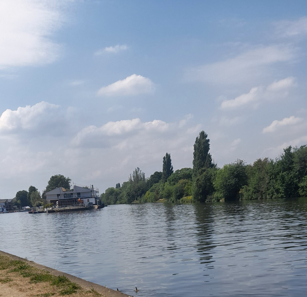 'Is Kingston's riverside becoming unsafe For our dogs?': A local's perspective