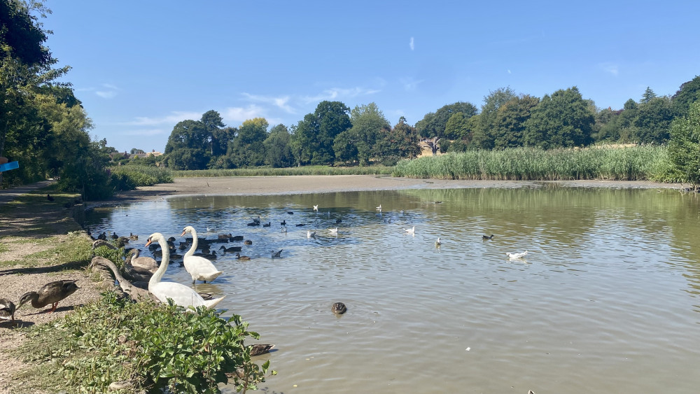 Kenilworth council roundup: school expansion, memorial box and housing campaign
