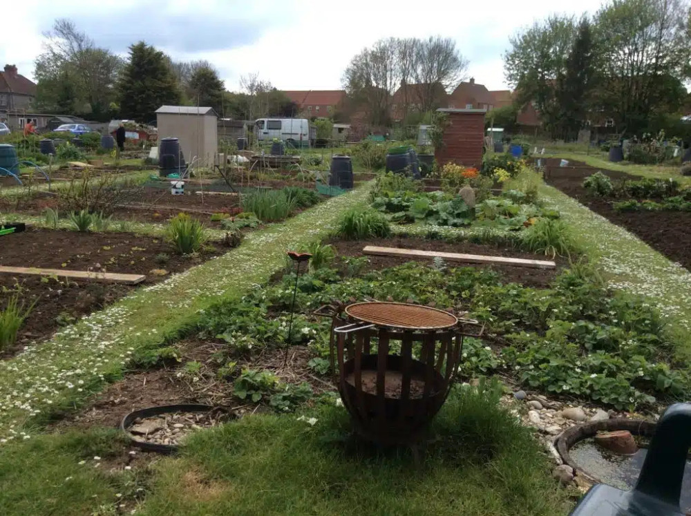 Shepton Mallet allotment rents to rise from October