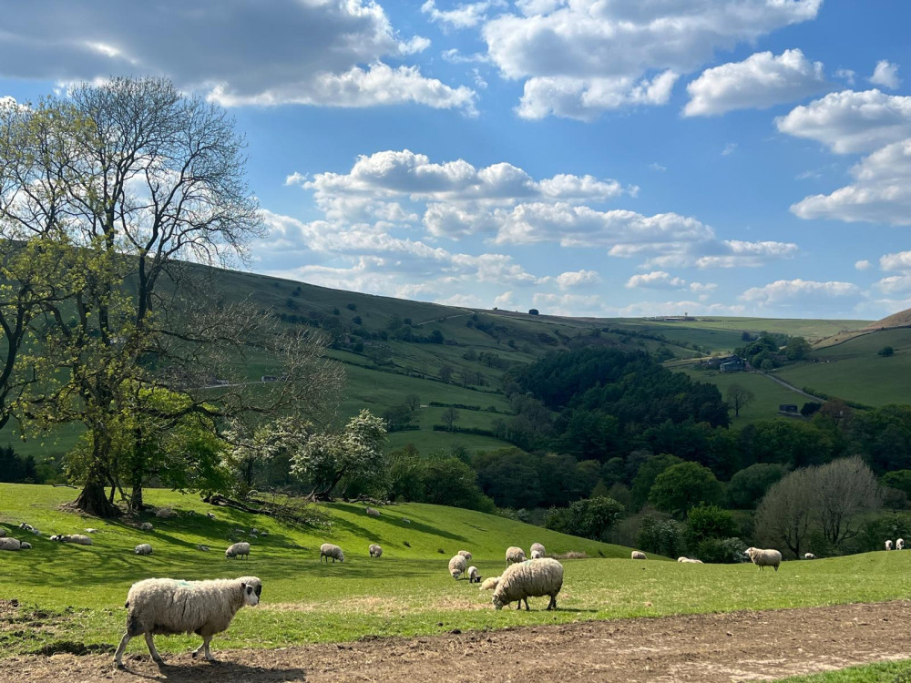 No plans to earmark any housing sites in the Peak District over the next 20 years, officials say